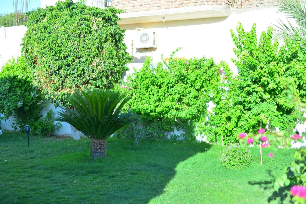 Luxor Rose Villa Exteriér fotografie